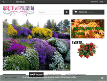 Tablet Screenshot of cvetqigradina.com